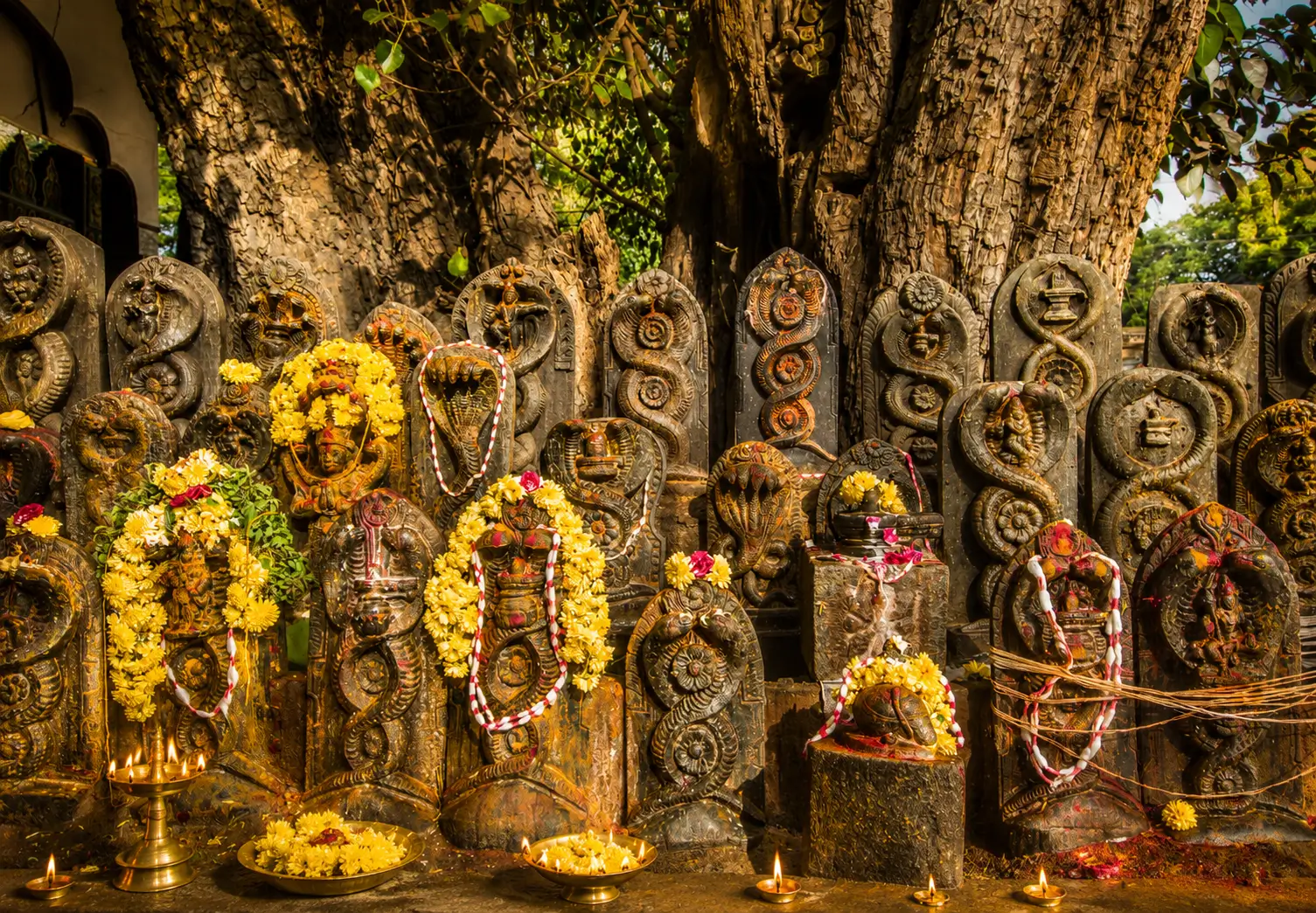 Naga stone shrine under a
          tree